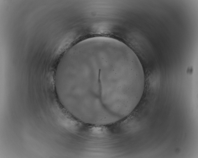 X0000111160415200906301405