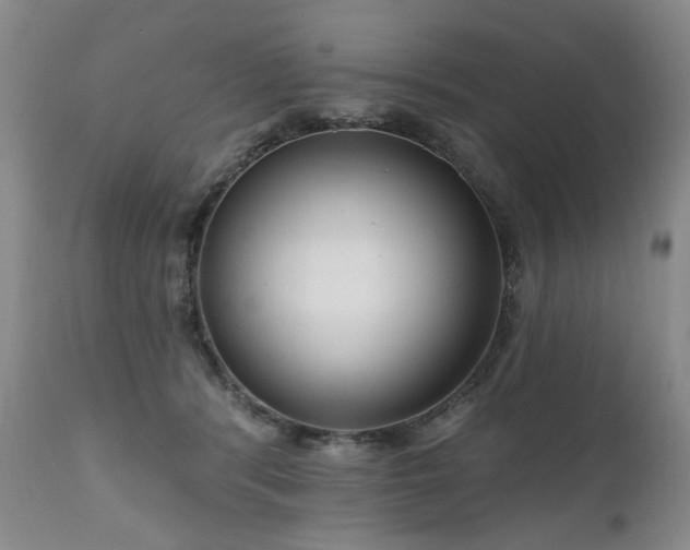 X0000111160416200906301405