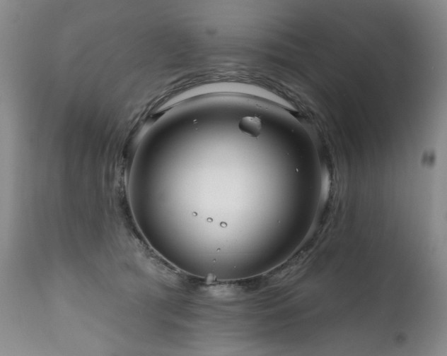 X0000111160417200906301405
