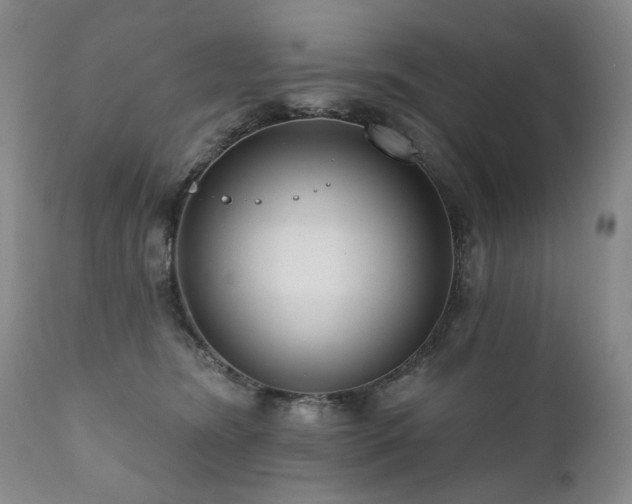 X0000111160420200906301405