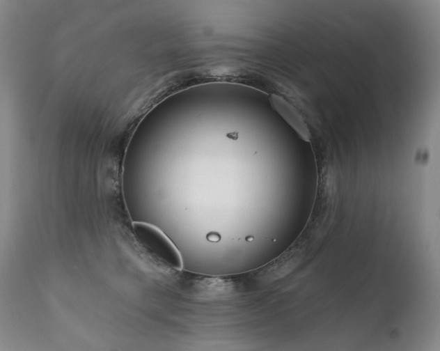 X0000111160421200906301405