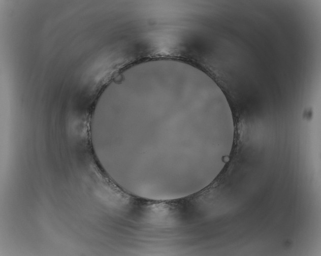 X0000111160423200906301405
