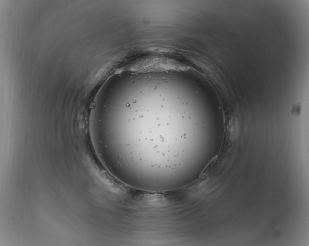 X0000111160424200906301405