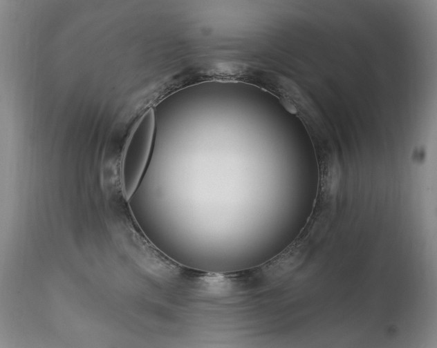 X0000111160425200906301405