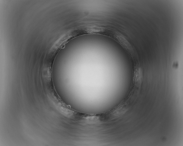 X0000111160426200906301405