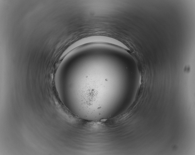 X0000111160427200906301405