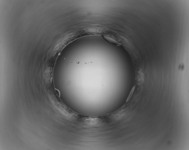 X0000111160428200906301405