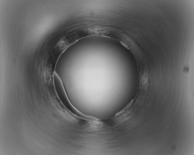 X0000111160429200906301405