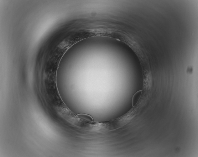 X0000111160430200906301405