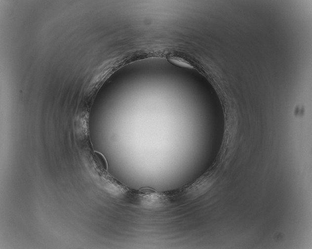 X0000111160432200906301405