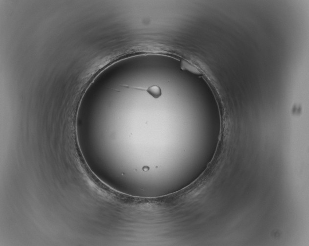 X0000111160433200906301404
