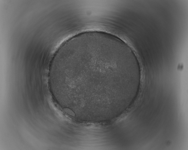 X0000111160434200906301404
