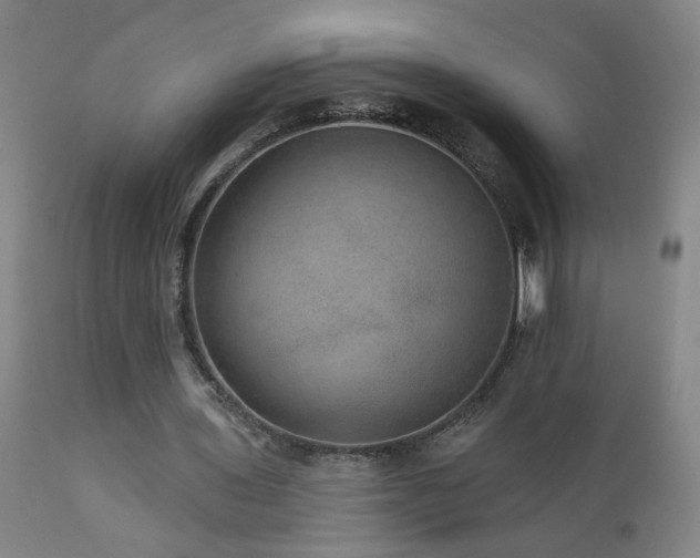 X0000111160435200906301404
