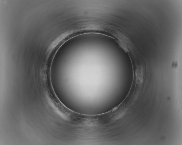 X0000111160436200906301404