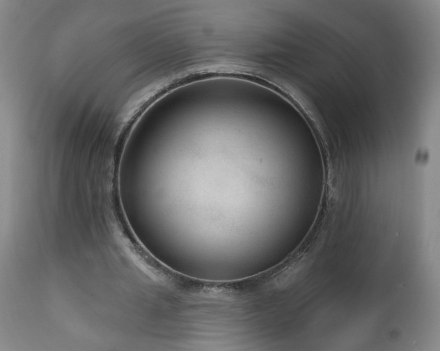 X0000111160437200906301404
