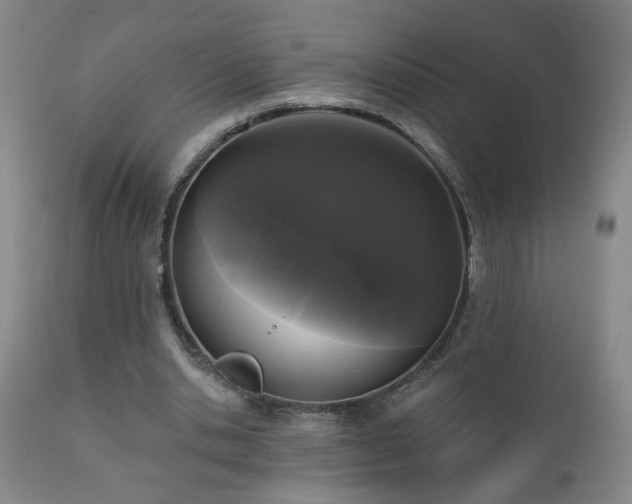 X0000111160438200906301404
