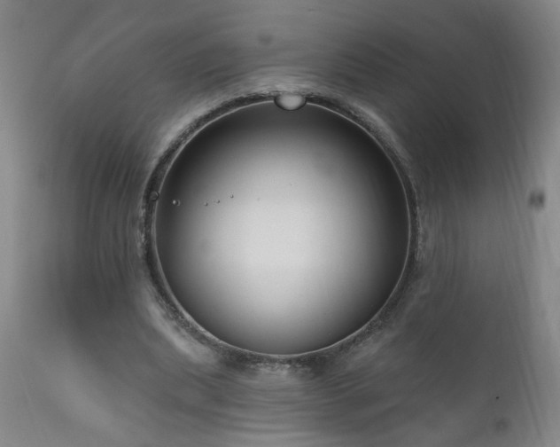 X0000111160439200906301404