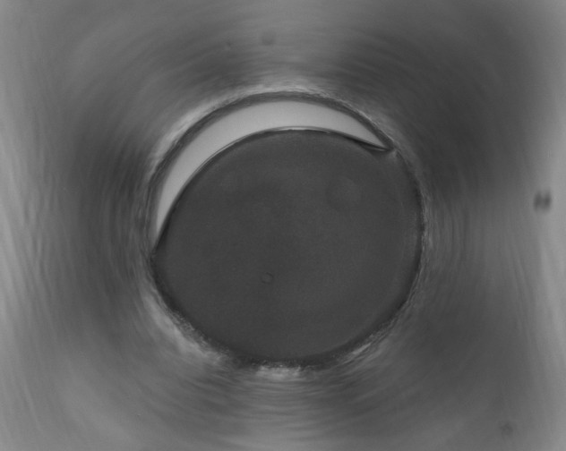 X0000111160440200906301404