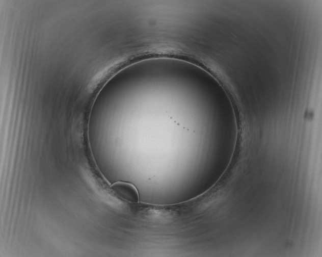 X0000111160442200906301404