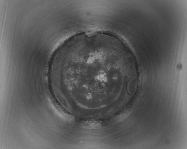 X0000111160443200906301404