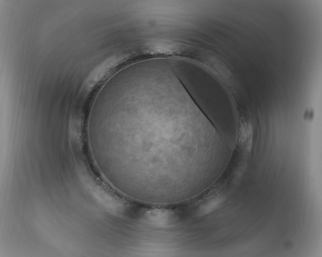 X0000111160444200906301404