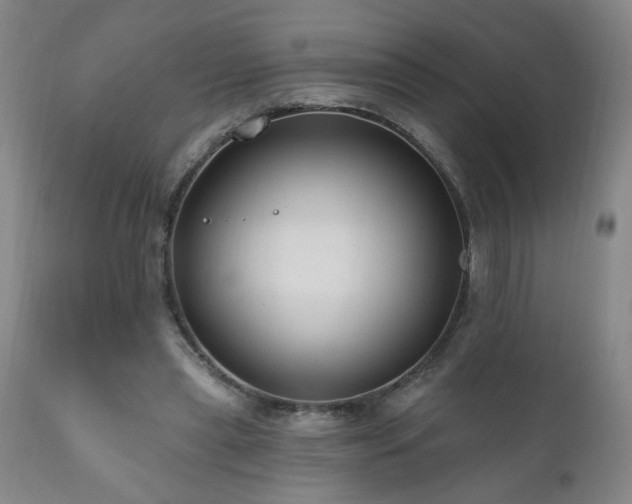X0000111160445200906301404