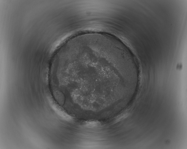 X0000111160446200906301404