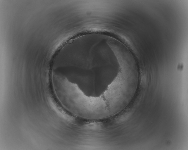 X0000111160447200906301404