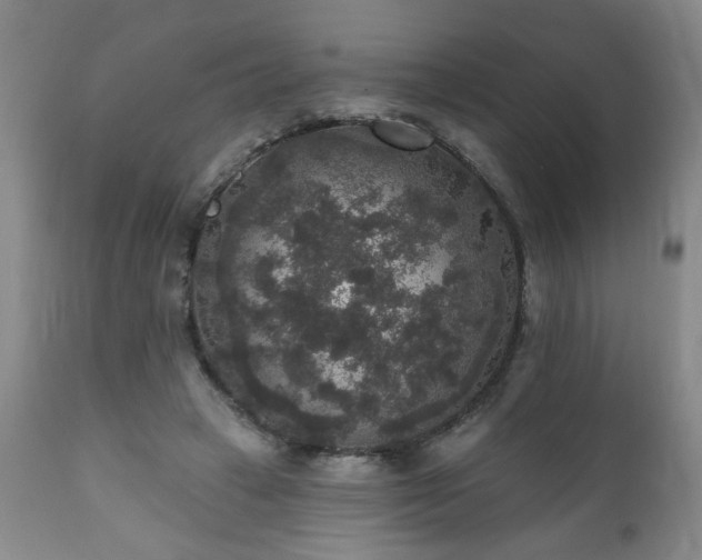 X0000111160449200906301404