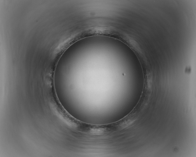 X0000111160450200906301404