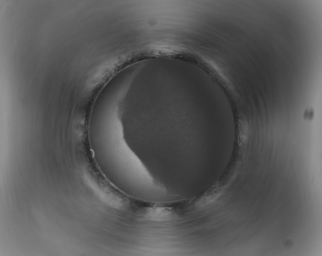 X0000111160451200906301404