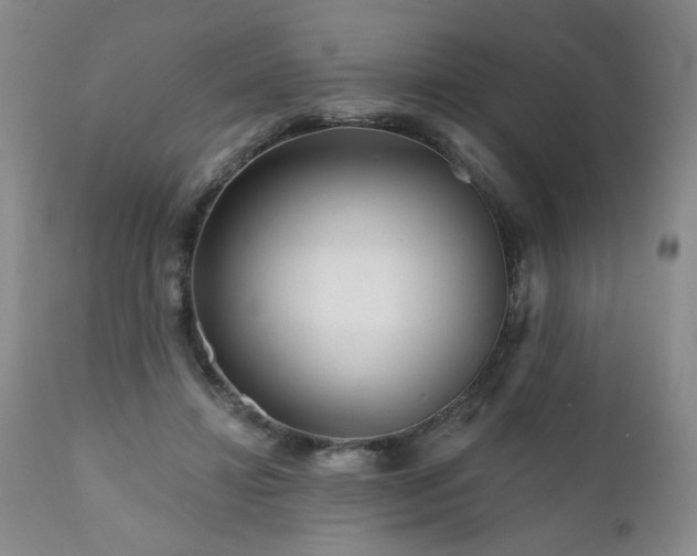 X0000111160452200906301404