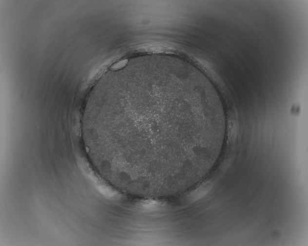 X0000111160453200906301404