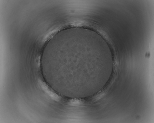 X0000111160454200906301404