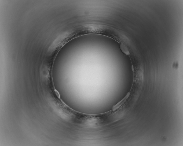 X0000111160456200906301404