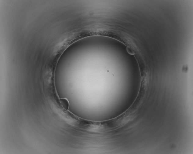 X0000111160458200906301404