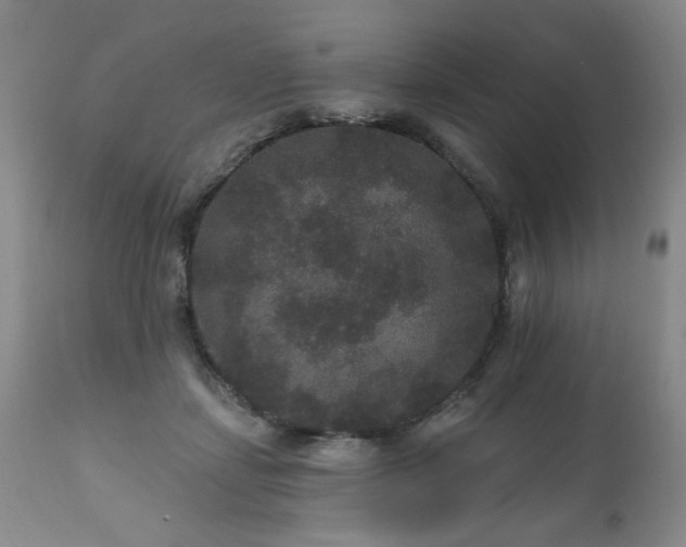 X0000111160459200906301404