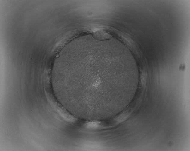 X0000111160461200906301405