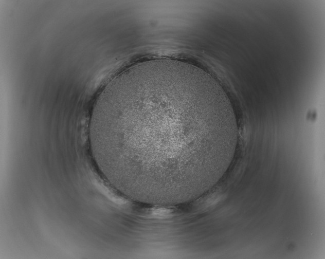 X0000111160462200906301405
