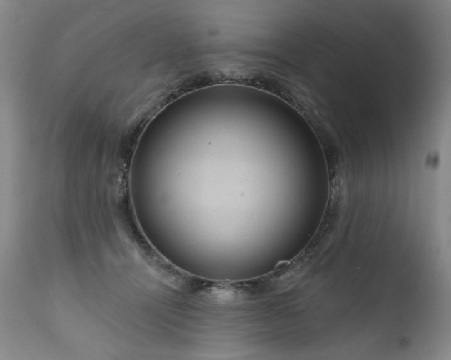 X0000111160464200906301405