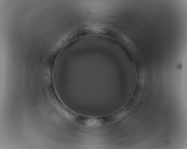 X0000111160465200906301405