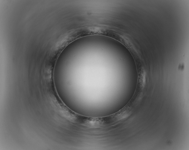 X0000111160466200906301405