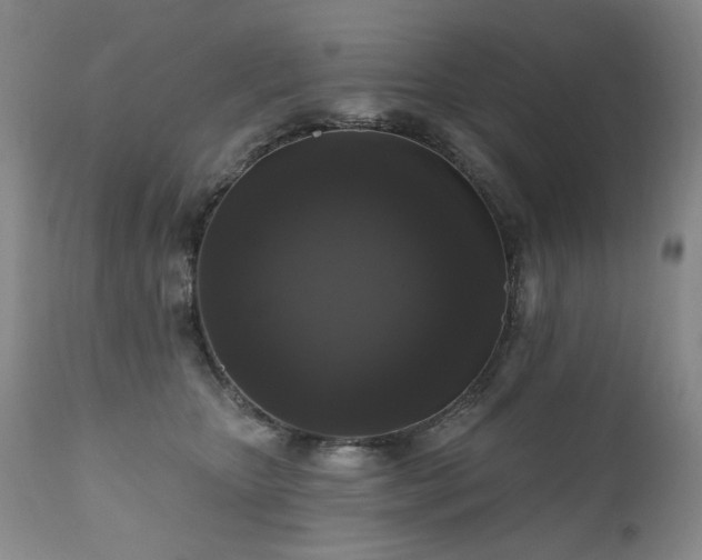 X0000111160467200906301405