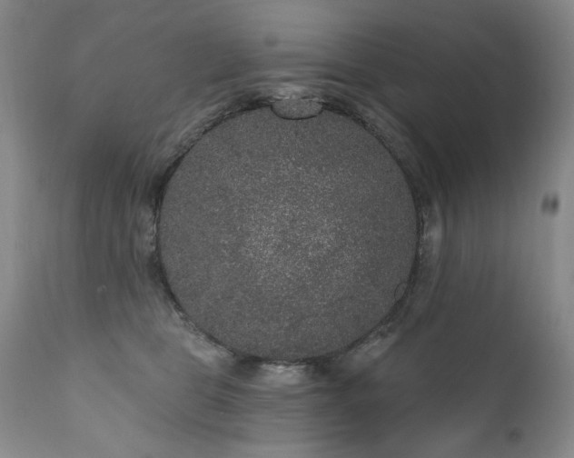 X0000111160469200906301405