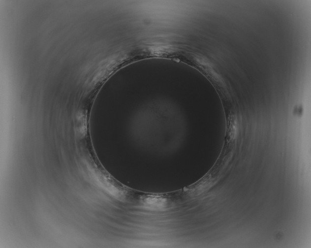 X0000111160471200906301405