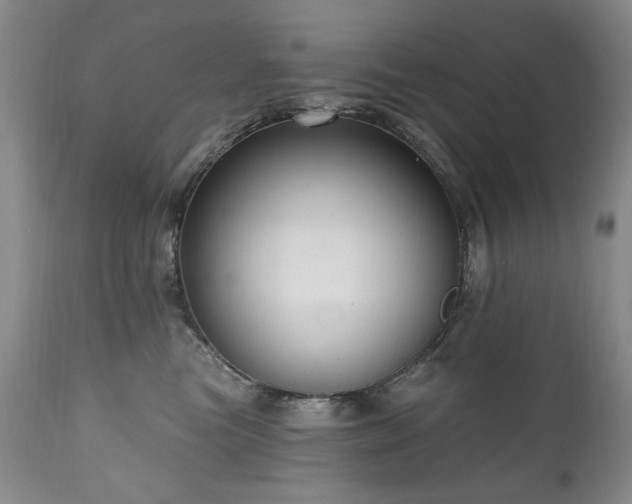 X0000111160473200906301405