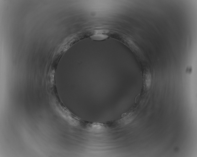 X0000111160475200906301405