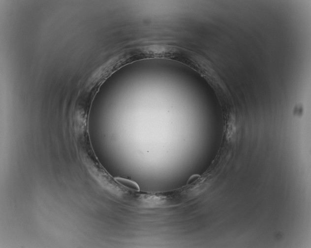 X0000111160476200906301405