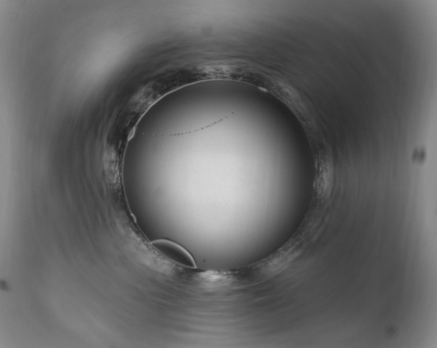 X0000111160477200906301405