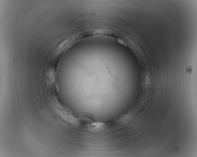 X0000111160478200906301405